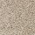 Mohawk Carpet: SP075 04